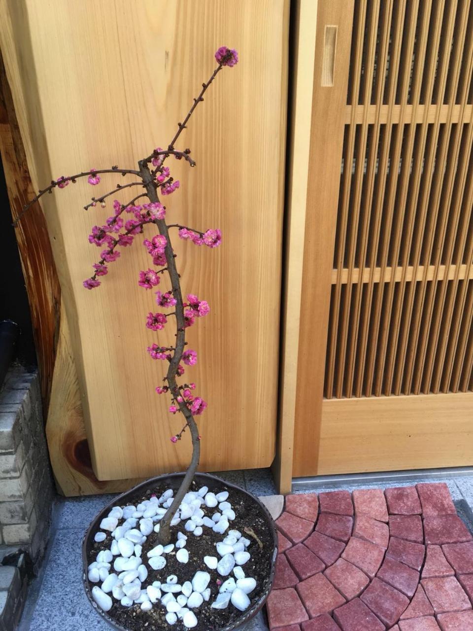 Appartement 美築八坂 à Kyoto Extérieur photo